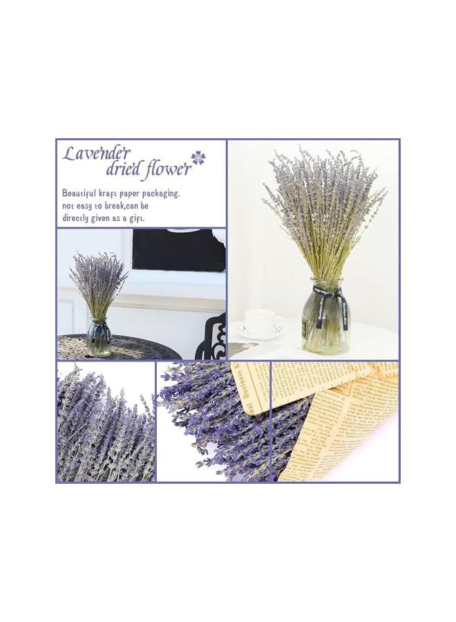 The Bros Dried Lavender Flowers Bundles 100% Natural Real Dry Flower for Home Decorations,Home Fragrance 350+ Stems - Image 4