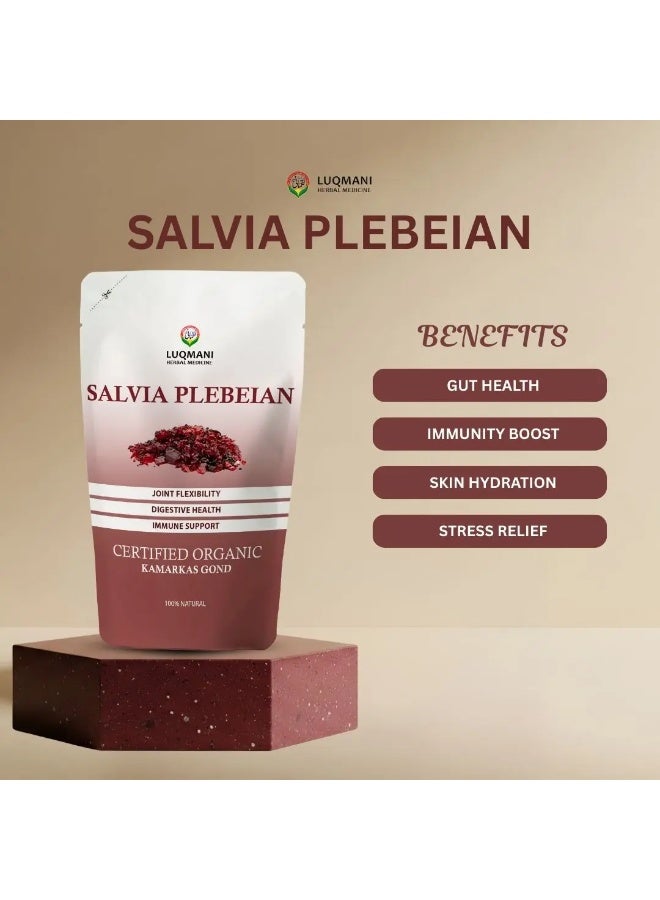 Luqmani Herbs Kamarkas Gond Salvia Plebeian 100 gm Raw - Image 3