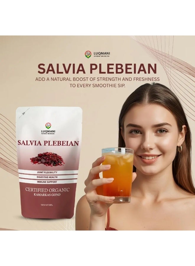 Luqmani Herbs Kamarkas Gond Salvia Plebeian 100 gm Raw - Image 2