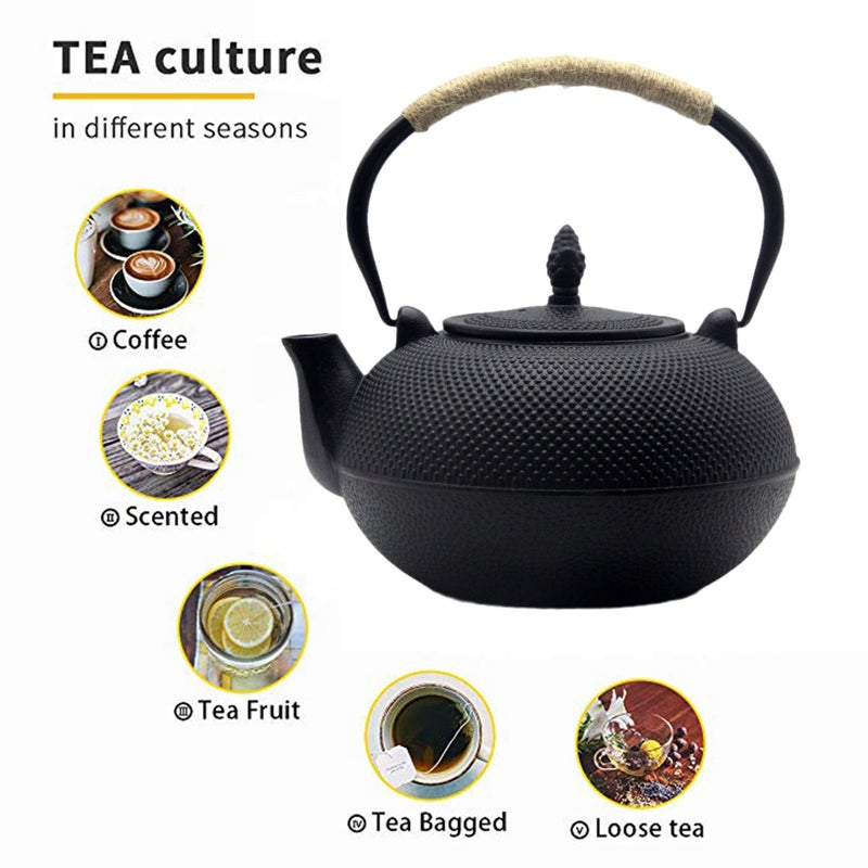 YJX 101 fl oz Extra Large and Heavy Cast Iron Teapot for Stovetop Safe, Black Tea Kettle with Stainless Steel Tea Balls for Loose Tea, Cast Iron Tea Pot for 6 to 10 People, 3000ml Japanese Tetsubin - Image 2