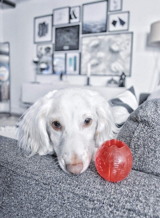 SPOT Play Strong Ball - Durable TPR Ball, Long Lasting Dog Toy for Aggressive Chewers, Hollow Center to Hide Treats, Virtually Indestructible Dog Toy for Dogs & Puppies up to 60lbs - 3.25 inch - Image 3