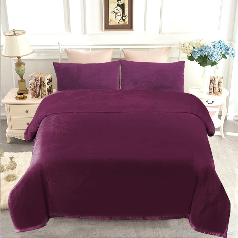 JYK Fleece Plush Bed Blanket Queen Size 200 x 220 cm Silky Flannel Blanket 1.6 kg Lightweight and Fluffy Cozy Fluffy Comfortable Microfiber Blanket for Couch Sofa Bedroom - Image 2