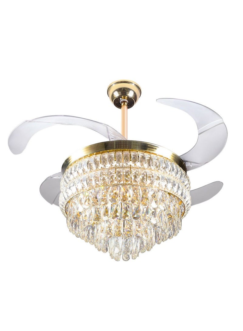 DANUBE HOME Ch Yara Fan Cl Yf-9571 