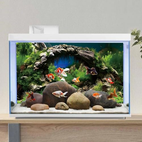 AWERT 36x24 inches Arch Stone Aquarium Background River Bed & Lake Aquarium Vinyl Background Aquatic Plant Fish Tank Background - Image 4