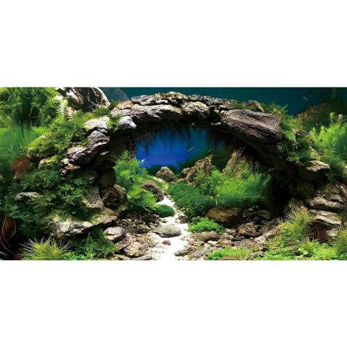 AWERT 36x24 inches Arch Stone Aquarium Background River Bed & Lake Aquarium Vinyl Background Aquatic Plant Fish Tank Background - Image 1