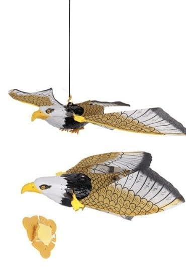 HOMOZE Flying Eagle Bird with Spread Wings Toy for Kids| Battery Operated Fly Eagle Toy with Hanging String and Sound | Animal Figure Toys for Toddler Kids | Birthday Gift for Boys and Girls - Image 3