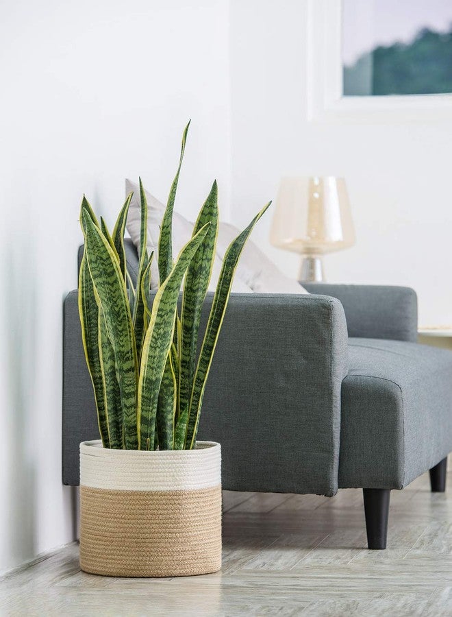 Dahey Jute Rope Plant Basket Modern Woven Storage Basket for 10.5" Indoor Planter, Decorative Flower Pots Cover Laundry Bin with Handle Rustic Home Decor, Black - Image 2