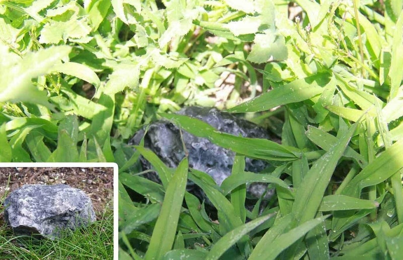 FingerLakes Hide-A-Spare Key Fake Rock - Looks, Feels & Weighs Like Real Stone - Safe for Gardens, Yards, Geocaching - Image 4