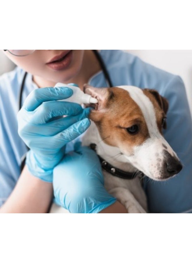 KRKA Otoxolan Ear Drops, Antibacterial, Antifungal & Anti-Inflammatory Suspension for Dogs 10 ml From Varmacy - Image 4