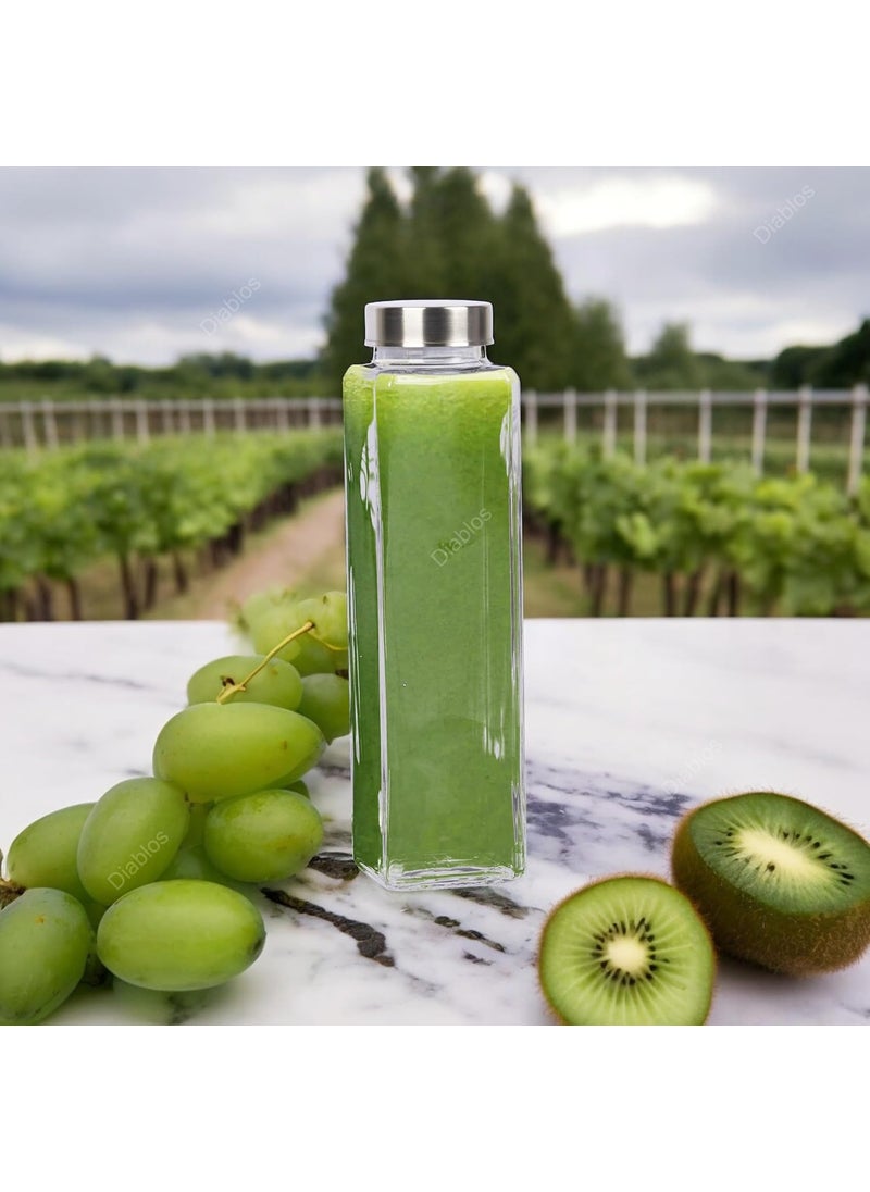 CASTANEA - castanea Water Bottle 750 ml with Air Tight Stainless Steel Lid, Square Glass Bottle for Water, Smoothie, Juicer and Beverage (2) - Image 1