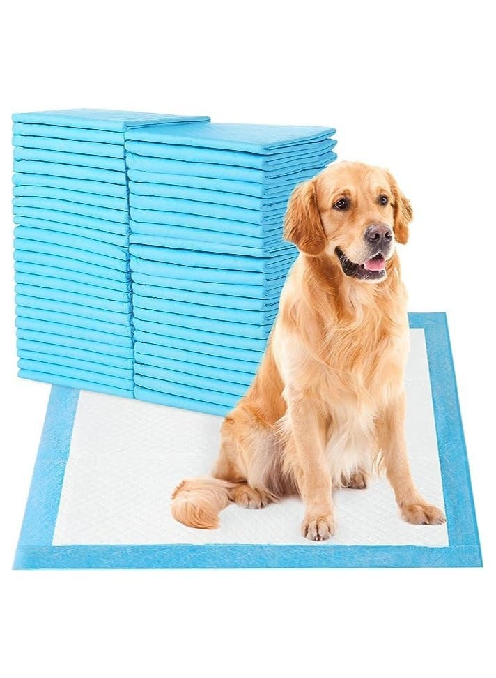 BLOOMING TIME Disposable Absorbent Quick Drying Leak Proof Pee Pads For Pet's Potty Training 40 Pieces Blue - Image 1