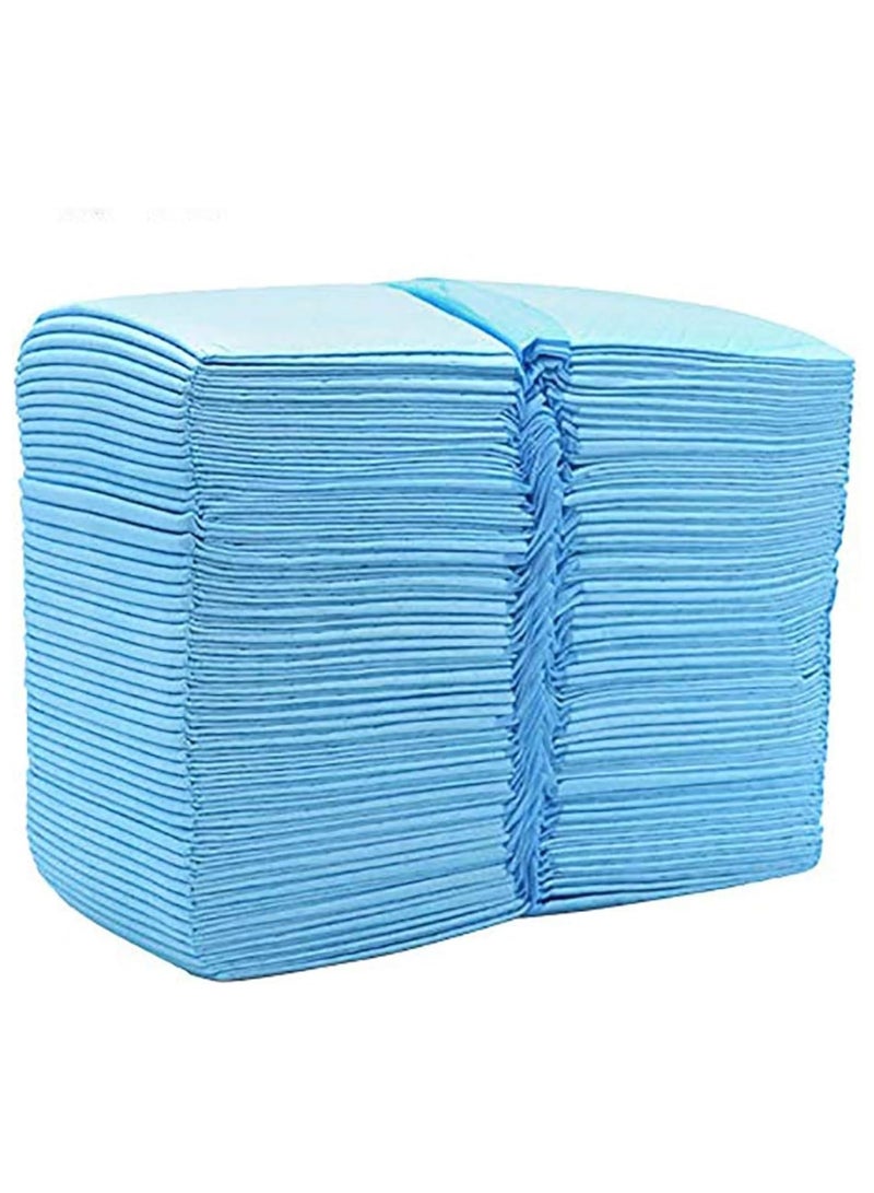 BLOOMING TIME Disposable Absorbent Quick Drying Leak Proof Pee Pads For Pet's Potty Training 40 Pieces Blue - Image 2