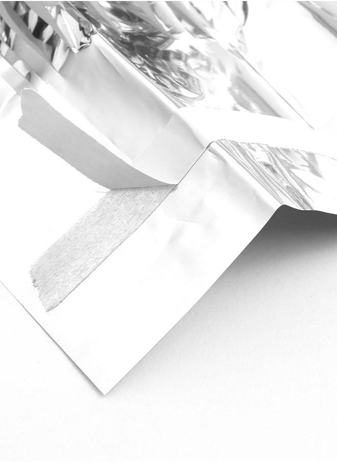 Generic Metallic Foil Fringe Curtain  - Image 2