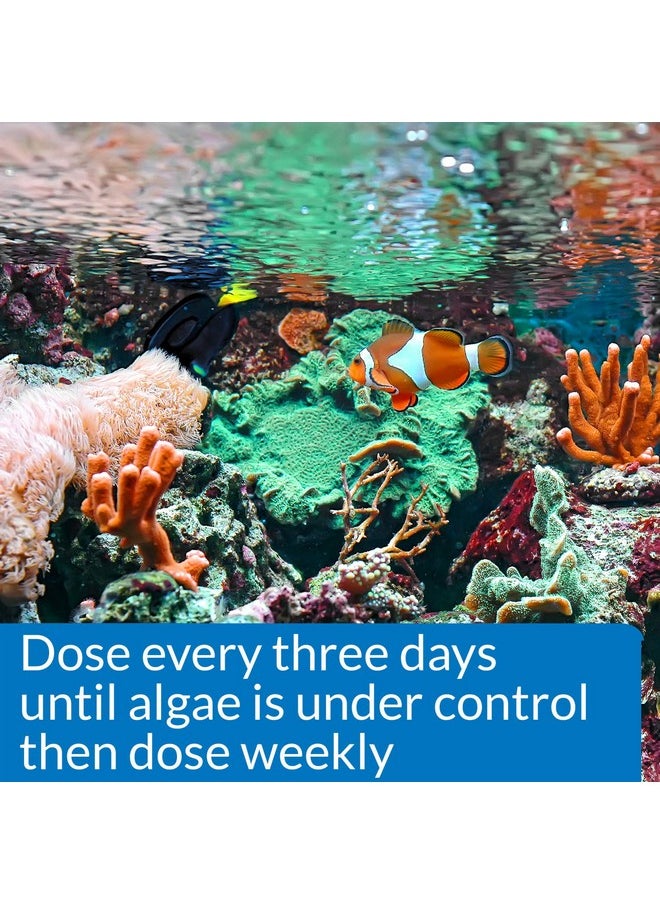 API Marine Algaefix Algae Control 16Ounce Bottle  - Image 2