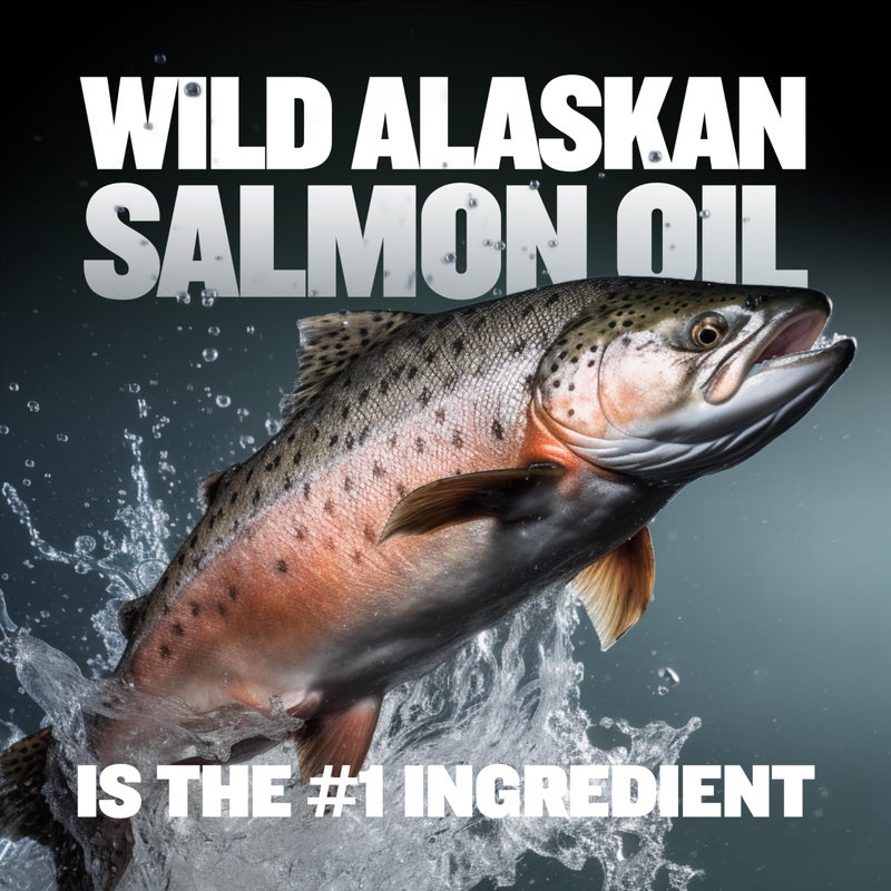 Bully Max Liquid Weight Gainer for Dogs â€“ High Calorie Dog Supplement with Omega-3 & Whey Protein â€“ 2-in-1 Multivitamin for Healthy Weight Gain â€“ for Puppies & Adult Dogs â€“ 16 oz - Image 4