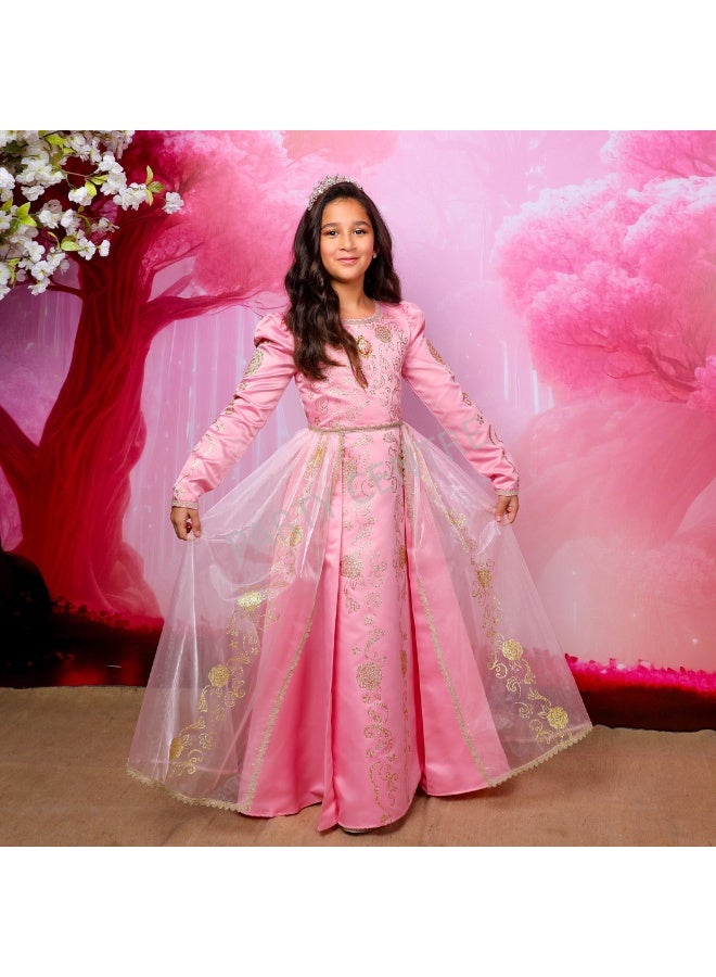 AURORA Costume Golden Princess Aurora Prestige Dress Up S 5-6