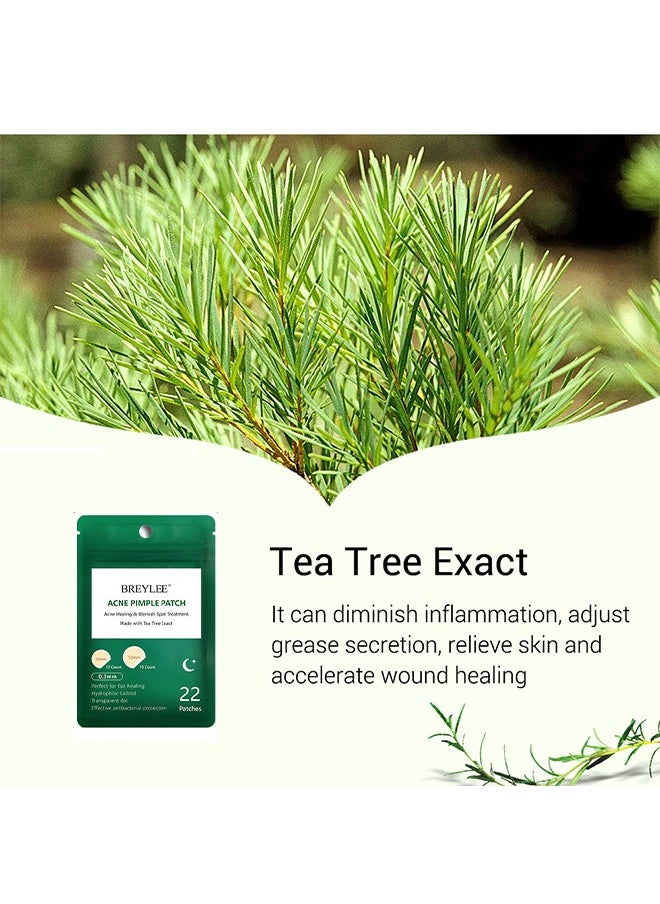 Breylee 22 Patches Acne Pimple Patch -Oil Control Anti Acne Facial Care ，Acne Spot ，Cystic Acne，Fungal Acne ，Face Acne Spot Treatment and Acne Scar Treatment Post Acne Marks Treatment，Pimple Remover Night Use  - Image 2