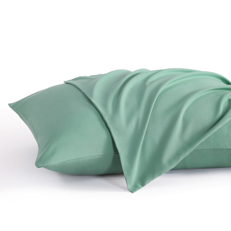 إن تي باي حالات وسادة قياسية NTBay مجموعة من 2 2 حزمة ميكروفيات microfiber 20x26 وسادة ناعم التجاعيد تتلاشى البقع مقاومة النعن - Image 1