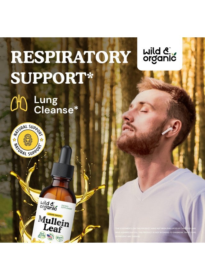 Wild & Organic Wild & Organic Mullein Drops for Lungs - Lung Detox and Cleanse - Liquid Mullein Leaf Tincture - Vegan, Sugar & Alcohol-Free Extract Supplement - 2 fl oz  - Image 2