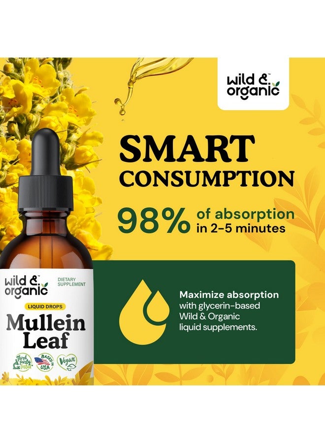 Wild & Organic Wild & Organic Mullein Drops for Lungs - Lung Detox and Cleanse - Liquid Mullein Leaf Tincture - Vegan, Sugar & Alcohol-Free Extract Supplement - 2 fl oz  - Image 4