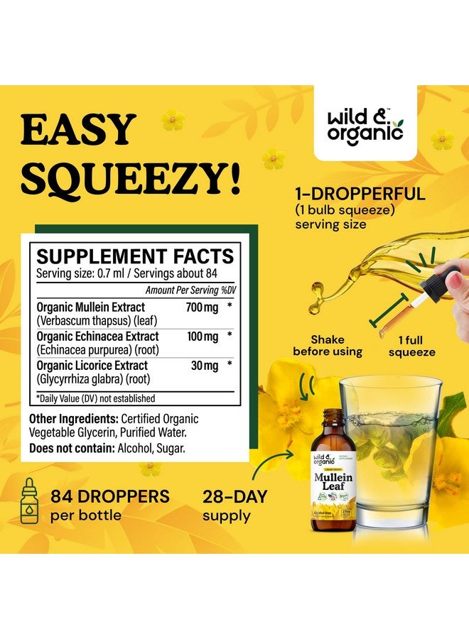 Wild & Organic Wild & Organic Mullein Drops for Lungs - Lung Detox and Cleanse - Liquid Mullein Leaf Tincture - Vegan, Sugar & Alcohol-Free Extract Supplement - 2 fl oz  - Image 3