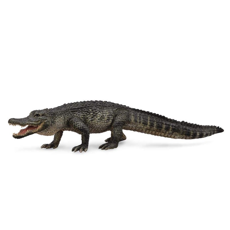 CollectA Wildlife American Alligator Toy Figure - Authentic Hand Painted Reptile Model - Image 1