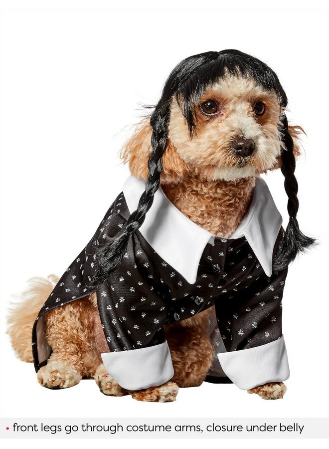 روبيز فستان وشعر مستعار للحيوانات الأليفة المرح واللطيف من روبيز وينزداي آدامز للحفلات ذات الطابع الخاص وحفلات الهالوين، مقاس صغير - Image 1