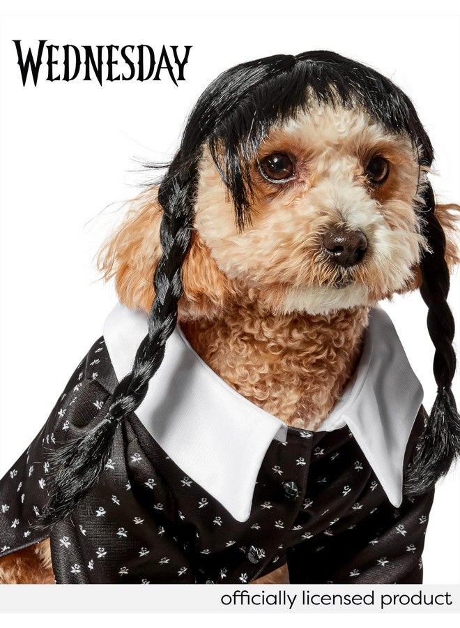 روبيز فستان وشعر مستعار للحيوانات الأليفة المرح واللطيف من روبيز وينزداي آدامز للحفلات ذات الطابع الخاص وحفلات الهالوين، مقاس صغير - Image 3