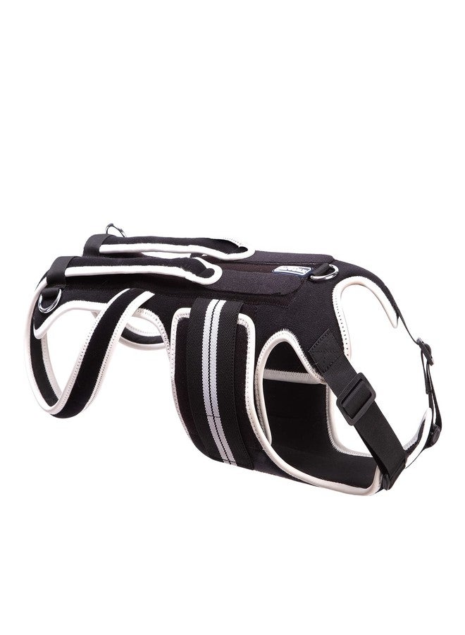 LufeLux Back Brace for Dogs with IVDD, Arthritis, Back Pain, Surgical Recovery and Rehabilitation, Dachshund Back Pain Relief, IVDD Harness(Large) - Image 2