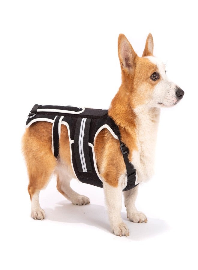 LufeLux Back Brace for Dogs with IVDD, Arthritis, Back Pain, Surgical Recovery and Rehabilitation, Dachshund Back Pain Relief, IVDD Harness(Large) - Image 1