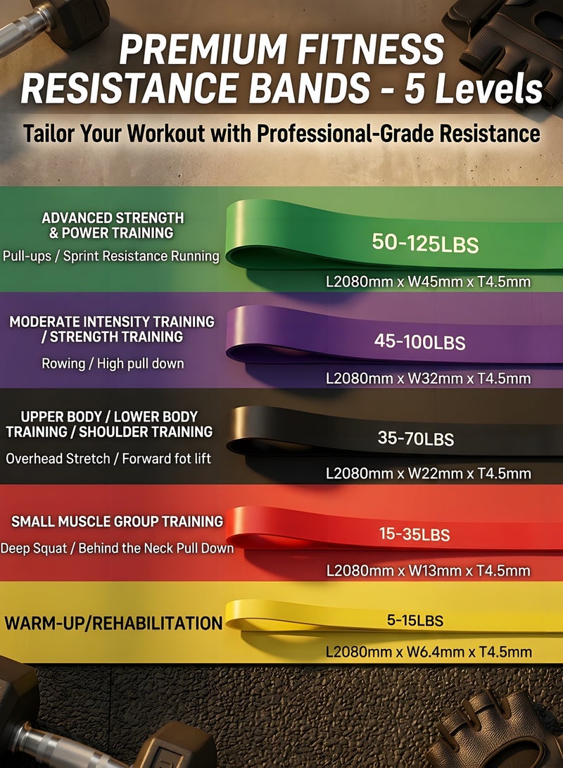 بيوينتي ‌مجموعة أحزمة المقاومة Beauenty‌ أحزمة مساعدة تمارين الشد العلوي - أحزمة تمديد - أحزمة رياضية لمعدات الكاليسثينكس أدوات تدريب مثالية للتمارين الرياضية، بناء العضلات، والتأهيل الطبي للرجال والنساء - Image 2