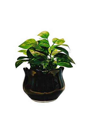 Niyara Ceramic Planter Lotus Shape for Indoor, Outdoor, Home, Office, Balcony, Decor,Garden Size - 7 inches (Black) - Image 2