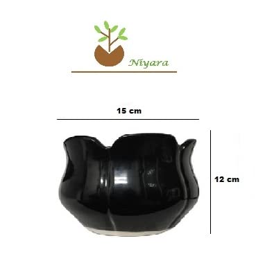 Niyara Ceramic Planter Lotus Shape for Indoor, Outdoor, Home, Office, Balcony, Decor,Garden Size - 7 inches (Black) - Image 3