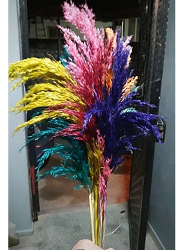 Decorative Shocked 15 Pampas Grass Mixed Color 100 cm