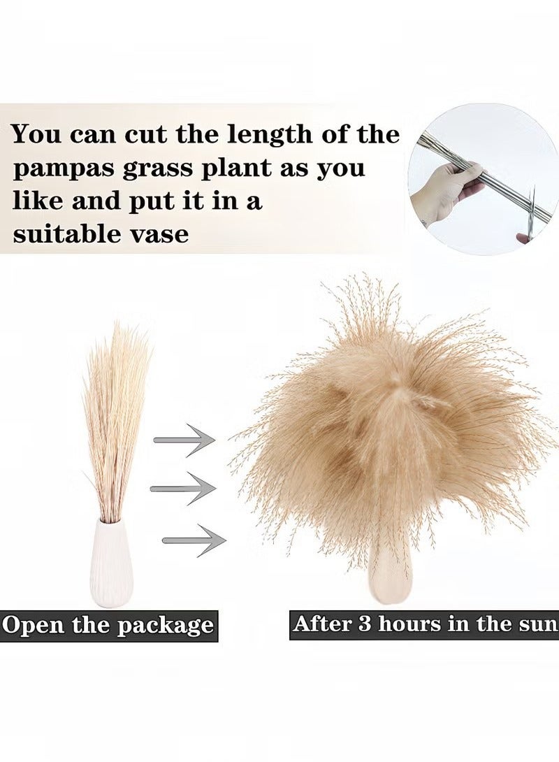 Unewshi Dried Pampas Grass Decor, 100pcs Pampas Grass Contains Bunny Tails Dried Flowers, Reed Grass Bouquet for Wedding Boho Flowers Home Table Decor, Rustic Farmhouse Party (White and Brown) - Image 5