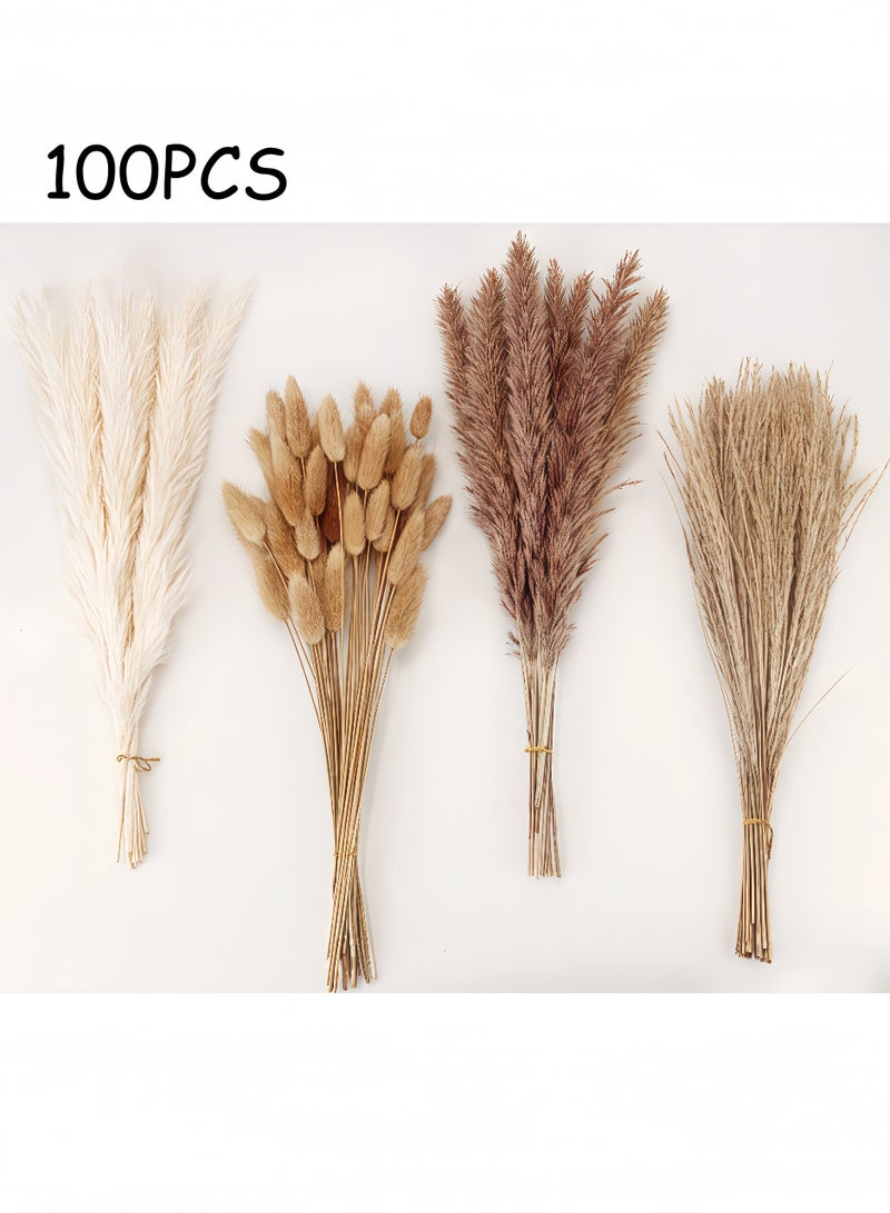 Unewshi Dried Pampas Grass Decor, 100pcs Pampas Grass Contains Bunny Tails Dried Flowers, Reed Grass Bouquet for Wedding Boho Flowers Home Table Decor, Rustic Farmhouse Party (White and Brown) - Image 1