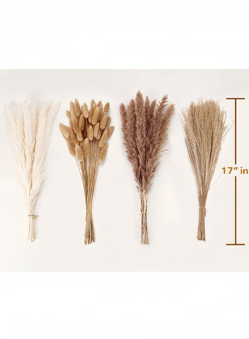 Unewshi Dried Pampas Grass Decor, 100pcs Pampas Grass Contains Bunny Tails Dried Flowers, Reed Grass Bouquet for Wedding Boho Flowers Home Table Decor, Rustic Farmhouse Party (White and Brown) - Image 2