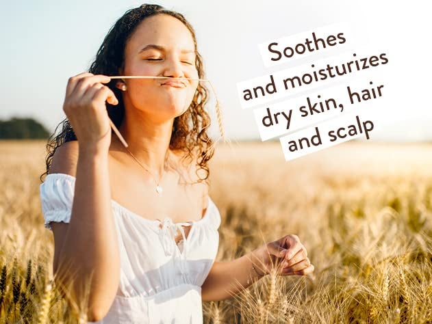 Babo Botanicals بابل بوتانيكالز غسول الجسم و泡泡 حمام مرطب نباتي 2 في 1 مع زيت الكالندولا العضوي وحليب الشوفان الطبيعي للأطفال والكبار ذوي البشرة الحساسة خالي من المواد المسببة للحساسية نباتي 15 أونصة عبوتين - Image 5