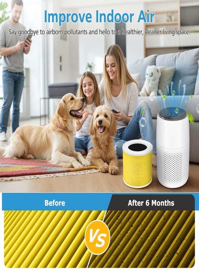 isingo 2 Pack Core Mini Replacement Filter for LEVOIT Core Mini-P Air Purifiers, Core Mini-RF Pet Care Filter Replacement - Image 4