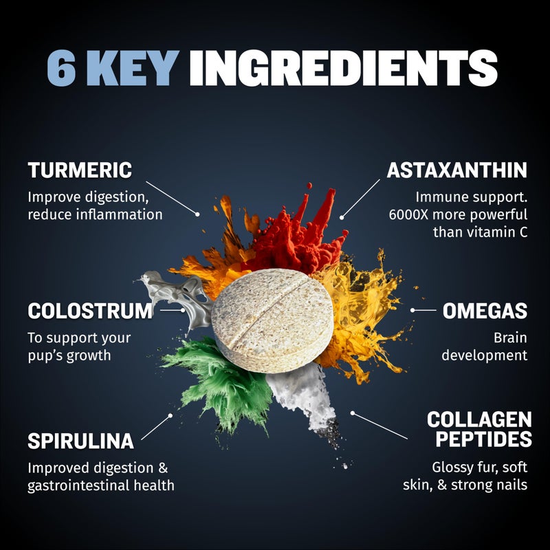 Bully Max Small Breed Dog Immune Support Tablets - Chewable Dog Multivitamin Immunity Booster Supplement Tabs for Puppy & Adult Dogs - Pet Vitamins with Astaxanthin, Colostrum, Turmeric - 30 Tablets - Image 3