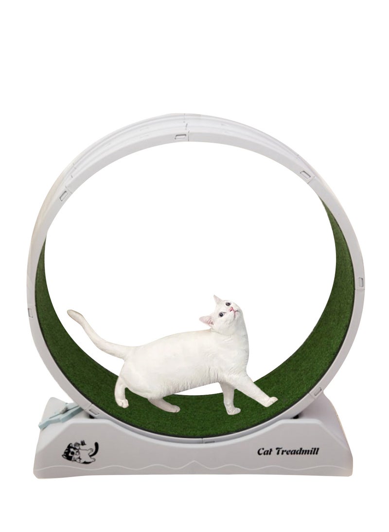 Kidle - Portable Lightweight Cat Treadmill Cat Exercise Wheel For Fitness And Health Foldable Cat Running Wheel For Indoor Cats Suits For Most Cats 33x80x85 Cm White - Image 1