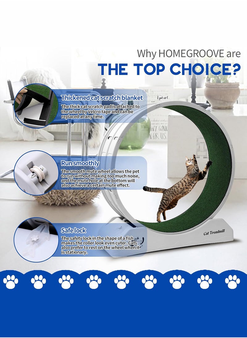 Kidle - Portable Lightweight Cat Treadmill Cat Exercise Wheel For Fitness And Health Foldable Cat Running Wheel For Indoor Cats Suits For Most Cats 33x80x85 Cm White - Image 1