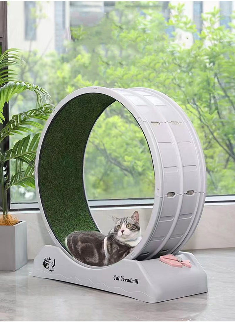 Kidle - Portable Lightweight Cat Treadmill Cat Exercise Wheel For Fitness And Health Foldable Cat Running Wheel For Indoor Cats Suits For Most Cats 33x80x85 Cm White - Image 1