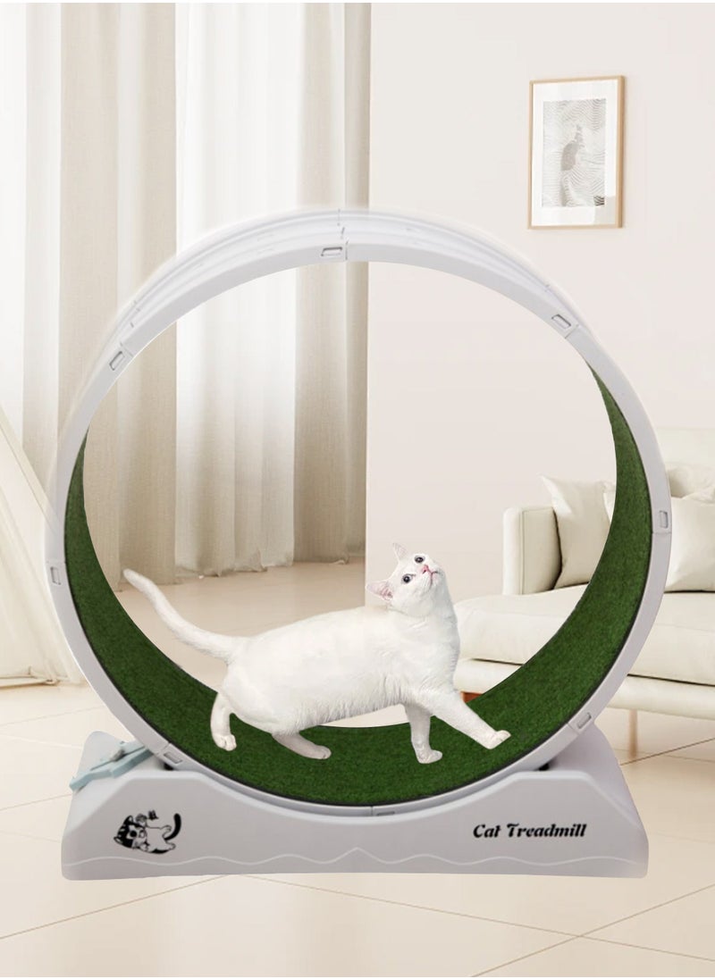 Kidle - Portable Lightweight Cat Treadmill Cat Exercise Wheel For Fitness And Health Foldable Cat Running Wheel For Indoor Cats Suits For Most Cats 33x80x85 Cm White - Image 1