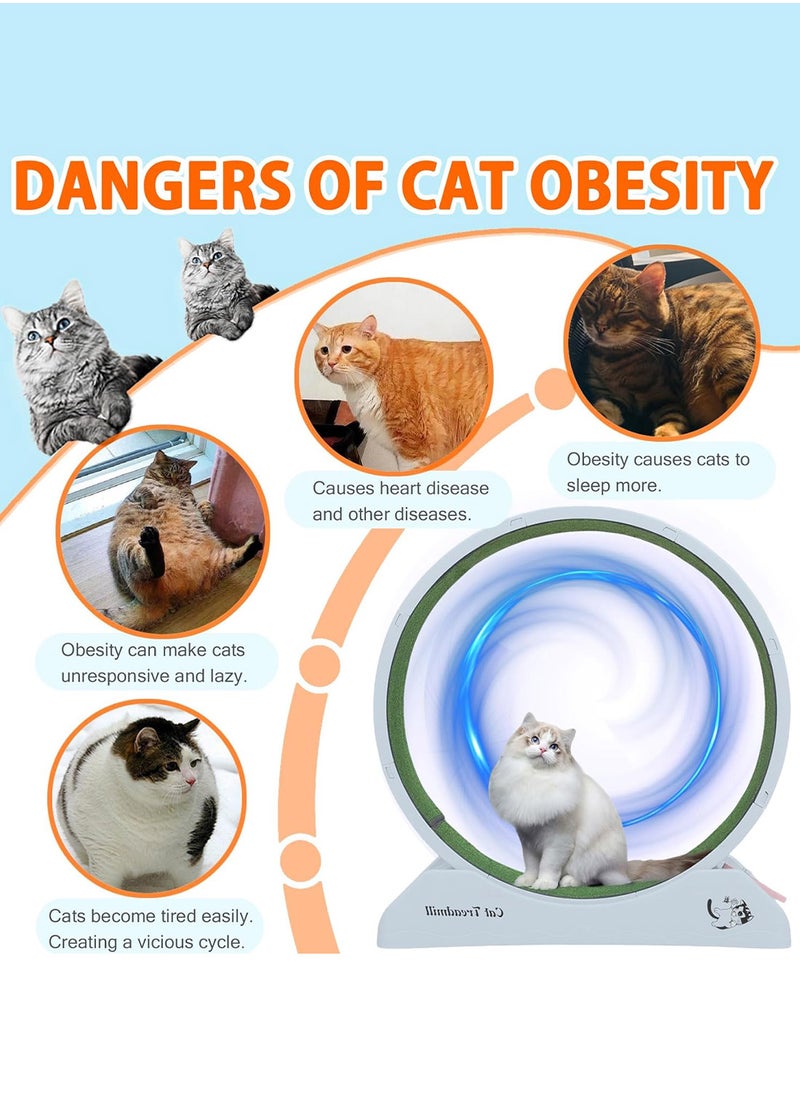 Kidle - Portable Lightweight Cat Treadmill Cat Exercise Wheel For Fitness And Health Foldable Cat Running Wheel For Indoor Cats Suits For Most Cats 33x80x85 Cm White - Image 1