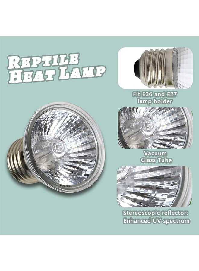 3-Pack 75W UVA+UVB Bulbs | Heat and Light for Reptiles and Amphibian Tanks, Terrariums and Cages | Works with Various Lamp Fixtures - Image 3