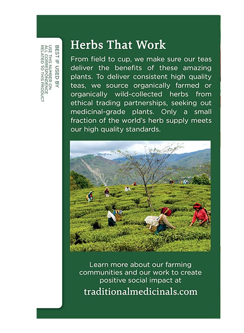 Tm Traditional med Heart Tea With Hawthorn 16 Tea - Image 5