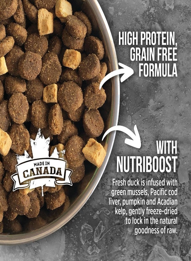 Nutrience All Life Stages Grain Pellet Free Subzero Dog Food, Northern Lakes Formula, 2.27 Kg (5 Lb) Bag - Image 2