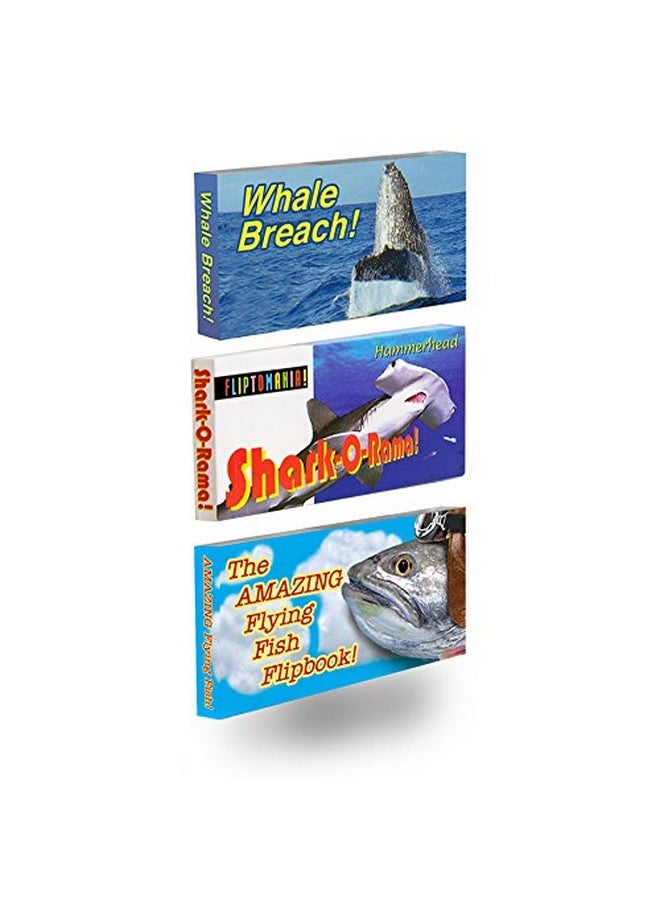 فليبتومانيا مجموعة من 3 كتب مصورة عن الحياة في المحيط - Image 1