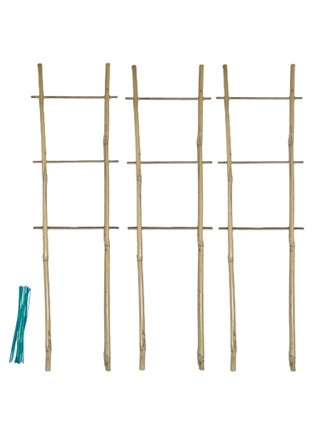3 Pack Natural Bamboo Trellis, 19.7" Trellis, Mini Trellis for Indoor Potted Plants, Natural Climbing frame - pzsku/Z4C3D324A9236FE852126Z/45/_/1670839607/78a0a635-83db-4808-a16c-9a85ef459500